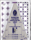 Marti Michell Long Skinny Sashing Stars Set